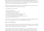 write SEO blog posts and articles